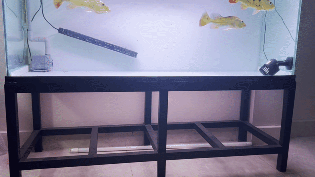 Hồ cá kính 1.4m x 60cm x 50cm mới cứng. Mua bán Phụ kiện, Thức ăn, Dịch vụ tại Quận Thanh Khê Đà Nẵng được đăng bởi Linh hình 1