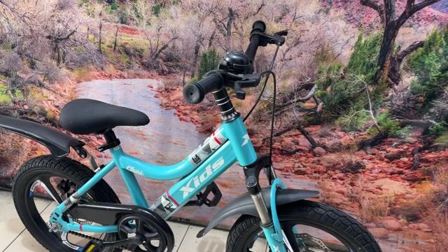 Xe đạp trẻ em XIDS Xanh dương 16 inch. Mua bán Xe đạp tại Quận Tân Bình Tp Hồ Chí Minh được đăng bởi Bbb hình 1