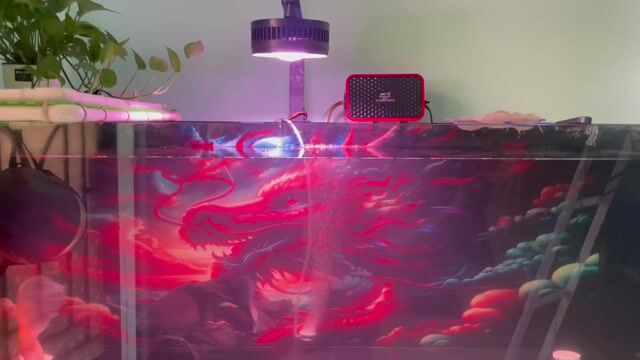 Bể cá cảnh Kính 12mm 135x50x50cm. Mua bán Phụ kiện, Thức ăn, Dịch vụ tại Huyện Bình Chánh Tp Hồ Chí Minh được đăng bởi Minh Pham hình 1