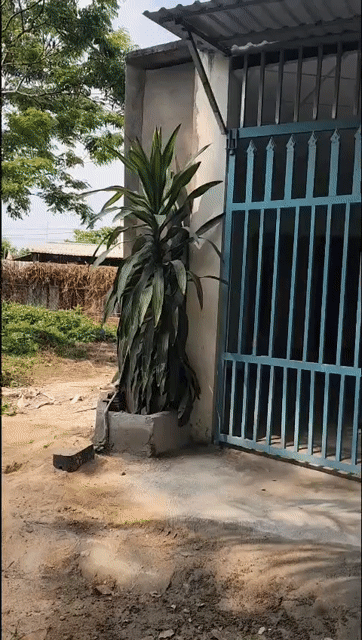 Cho thuê Nhà ở Huyện Củ Chi Tp Hồ Chí Minh diện tích 144 m² giá 3,5 triệu/tháng