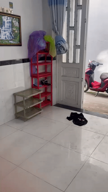 Cho thuê Nhà ở Quận 12 Tp Hồ Chí Minh diện tích 30 m² giá 6 triệu/tháng