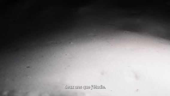 Formation d'ingénieur : Les 5 spécialités de l'UTBM