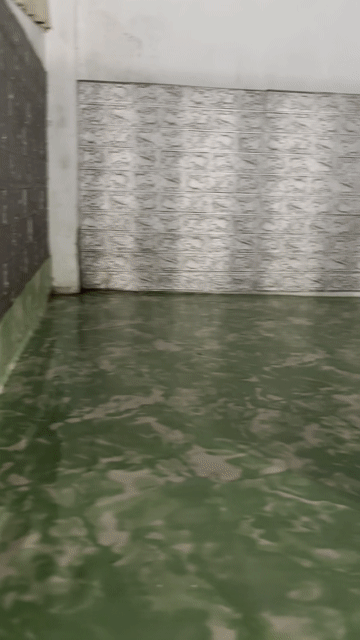 Cho thuê Phòng trọ Huyện Bình Chánh Tp Hồ Chí Minh diện tích 20 m² giá 2,5 triệu/tháng