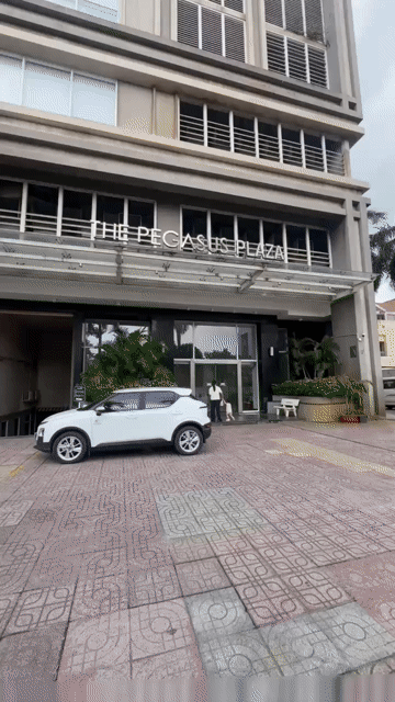 Mua bán Căn hộ Chung cư The Pegasus Plaza Thành phố Biên Hòa Đồng Nai diện tích 516.5 m² giá 17,7 tỷ