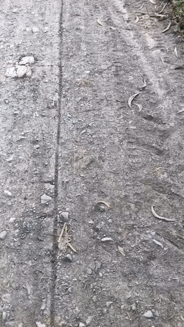Mua bán Đất Huyện Cần Giuộc Long An diện tích 300 m² giá 1,95 tỷ