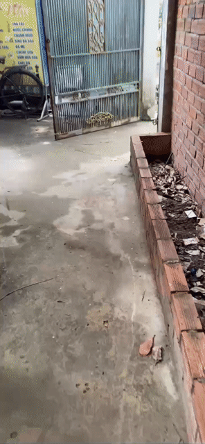 Mua bán Nhà ở Huyện Củ Chi Tp Hồ Chí Minh diện tích 55 m² giá 495 triệu