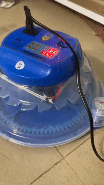 Máy ấp trứng (gà,chim) đảo tự động. Mua bán Phụ kiện, Thức ăn, Dịch vụ tại Quận Hà Đông Hà Nội được đăng bởi Tùng HĐ hình 1