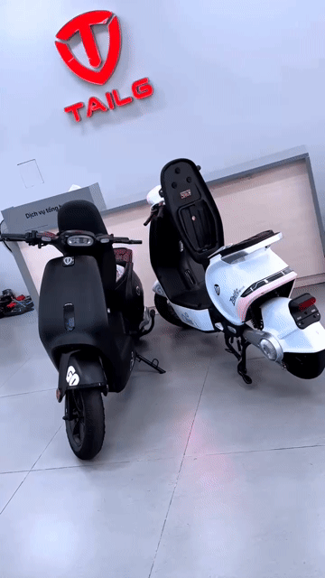Xe máy điện TailG Go Xám Mới - Tả góp tư nhân-CCCD. Mua bán Xe đạp tại Thành phố Thủ Dầu Một Bình Dương được đăng bởi NHƯ ĐIỆN MÁY TRẢ GÓP LÊ TRIỀU hình 1