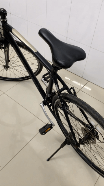 Xe đạp nhật bãi. Mua bán Xe đạp tại Thành phố Nam Định Nam Định được đăng bởi Đức Quang  hình 1