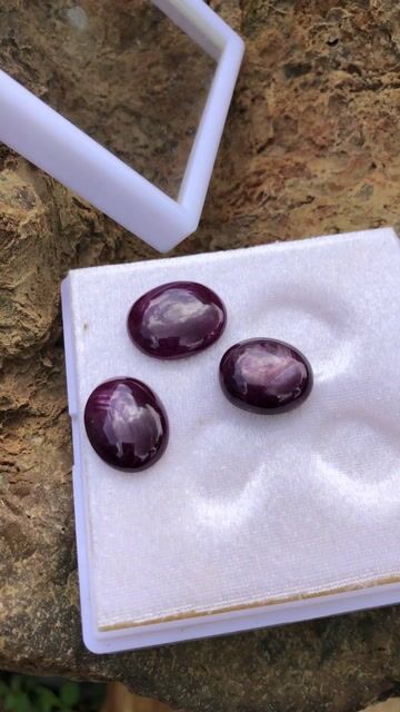 Ruby Nam Phi Oval Đỏ tím. Mua bán Đồ sưu tầm, đồ cổ tại Thành phố Gia Nghĩa Đắk Nông được đăng bởi Tây Nguyên Đá hình 1