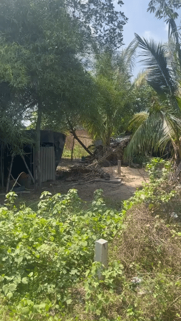 Mua bán Đất Huyện Đức Hòa Long An diện tích 183 m² giá 550 triệu