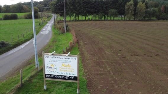 Du miel et des moutons