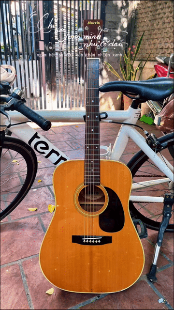 Morris W-20 cây Guitar quốc dân.. Mua bán Nhạc cụ tại Quận Cẩm Lệ Đà Nẵng được đăng bởi Đặng Minh Hiền hình 1