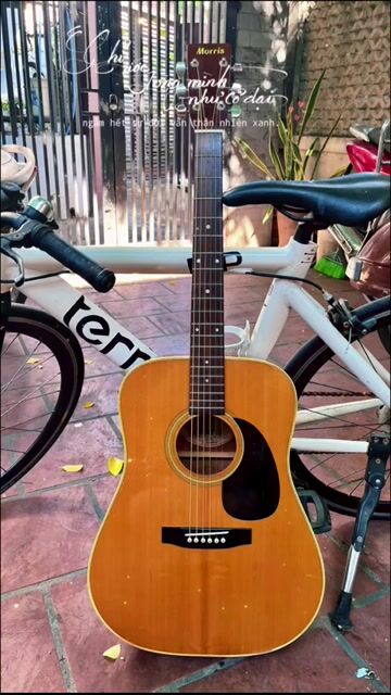 Morris W-20 cây Guitar quốc dân.. Mua bán Nhạc cụ tại Quận Cẩm Lệ Đà Nẵng được đăng bởi Đặng Minh Hiền hình 1
