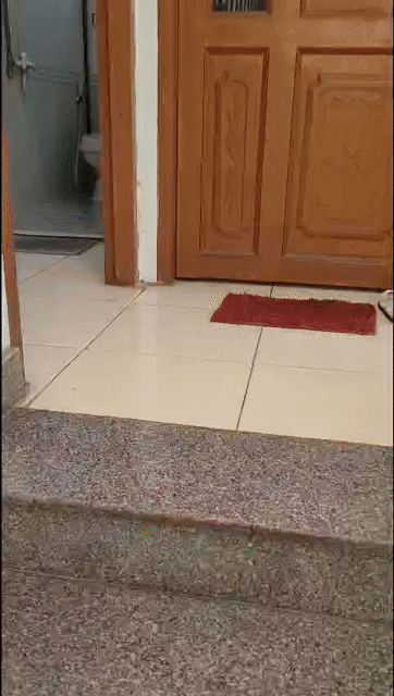 Cho thuê Phòng trọ Quận 10 Tp Hồ Chí Minh diện tích 20 m² giá 4 triệu/tháng
