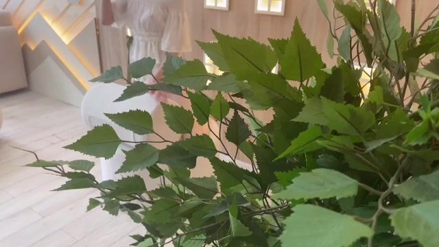 Model - EllieDupont footjob