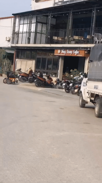 Mua bán Đất Huyện Hoằng Hóa Thanh Hóa diện tích 200 m² giá 5 tỷ