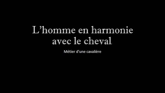 L'HOMME ET LE CHEVAL EN HARMONIE