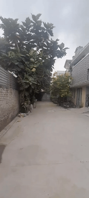 Cho thuê Nhà ở Quận Bình Tân Tp Hồ Chí Minh diện tích 105 m² giá 13 triệu/tháng