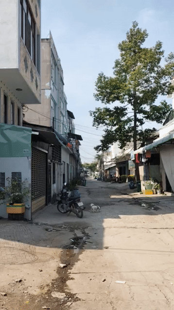 Mua bán Đất Thành phố Thuận An Bình Dương diện tích 200 m² giá 2,65 tỷ