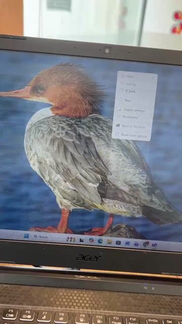 Tấm nền màn hình Acer Nitro 5 (144Hz). Mua bán Laptop tại Quận Bình Thạnh Tp Hồ Chí Minh được đăng bởi Nguyễn Quỳnh Nhungg hình 1