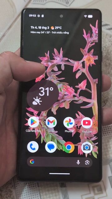 Google Pixel 6 128GB Đen. Mua bán Điện thoại tại Thành phố Thủ Đức Tp Hồ Chí Minh được đăng bởi Phan Hữu Luân hình 1
