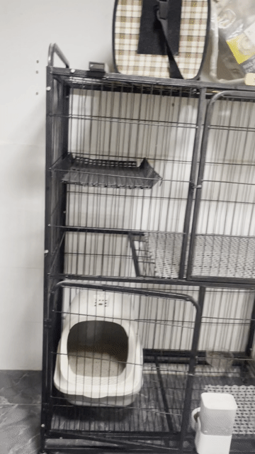 Mèo Lồng nuôi chó Sắt sơn tĩnh điện 104x156x60cm. Mua bán Phụ kiện, Thức ăn, Dịch vụ tại Quận Tân Phú Tp Hồ Chí Minh được đăng bởi Hung Bui hình 1