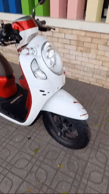 Honda Scoopy 2022 Trắng đỏ. Mua bán Xe máy tại Quận 7 Tp Hồ Chí Minh được đăng bởi Trần Hoan hình 1