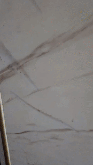 Cho thuê Phòng trọ Quận Bình Thạnh Tp Hồ Chí Minh diện tích 14 m² giá 4 triệu/tháng