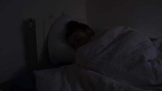 De l'université à mon métier