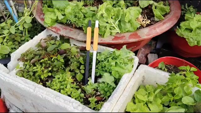 tay nắm tủ New-GP. Mua bán Tủ, kệ gia đình tại Quận Bình Tân Tp Hồ Chí Minh được đăng bởi tay nắm tủ hình 1