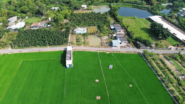 Mua bán Đất Huyện Tân Trụ Long An diện tích 175 m² giá 900 triệu