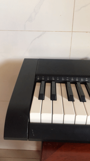 Đàn Organ Casio. Mua bán Nhạc cụ tại Huyện Chư Pưh Gia Lai được đăng bởi VMH hình 1