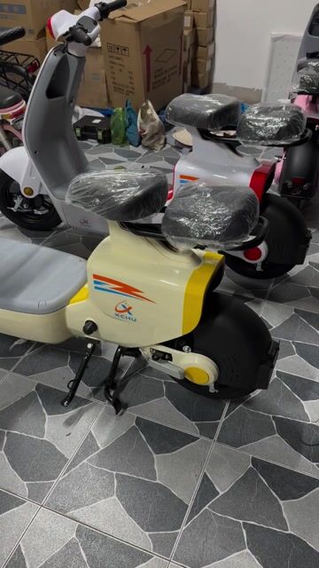 Xe đạp điện mới 100%. Mua bán Xe đạp tại Huyện Bình Chánh Tp Hồ Chí Minh được đăng bởi Nguyễn Thanh Tân  hình 1