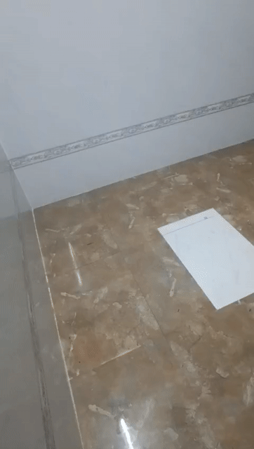 Cho thuê Phòng trọ Quận Tân Phú Tp Hồ Chí Minh diện tích 18 m² giá 3,5 triệu/tháng