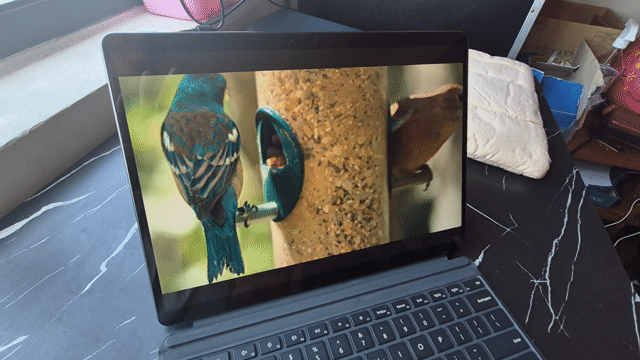 [Fullbox] Surface Pro 9 i5/8GB/256GB kèm Bàn Phím. Mua bán Máy tính bảng tại Quận Bình Tân Tp Hồ Chí Minh được đăng bởi Hồ Viết Thành hình 1