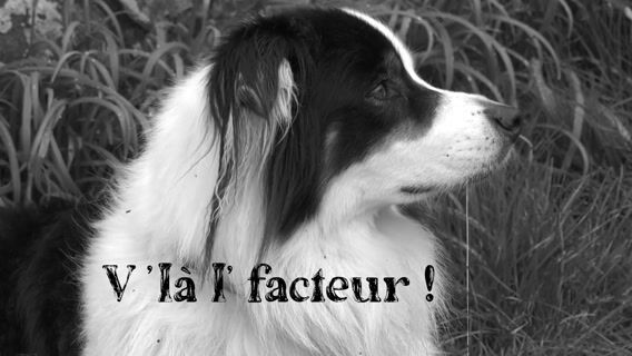 V'là l'facteur
