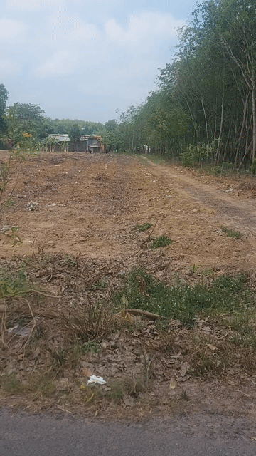 Mua bán Đất Huyện Bàu Bàng Bình Dương diện tích 175 m² giá 900 triệu