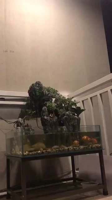 Tiểu cảnh non bộ Hòn Phu Thê. Mua bán Cây cảnh, đồ trang trí tại Quận Hai Bà Trưng Hà Nội được đăng bởi Anh Vu Thi hình 1