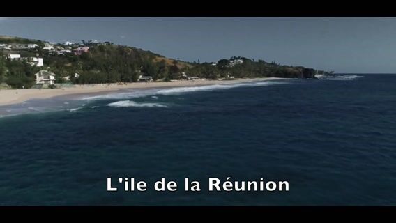 Redonner la vie à la vie, une histoire sans fin: l'ouvrier professionnel en restauration de patrimoine