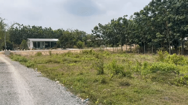 Mua bán Đất Huyện Dương Minh Châu Tây Ninh diện tích 138 m² giá 499 triệu