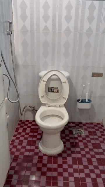 Cho thuê Phòng trọ Thành phố Buôn Ma Thuột Đắk Lắk diện tích 30 m² giá 1,5 triệu/tháng