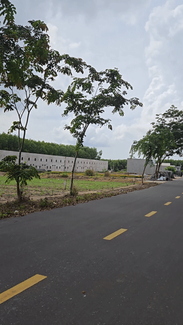 Mua bán Đất Huyện Đất Đỏ Bà Rịa - Vũng Tàu diện tích 350 m² giá 2,2 tỷ