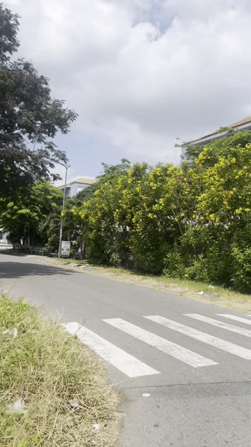 Mua bán Đất Khang Điền Bình Chánh (Việt Phú Garden) Huyện Bình Chánh Tp Hồ Chí Minh diện tích 144 m² giá 9,2 tỷ