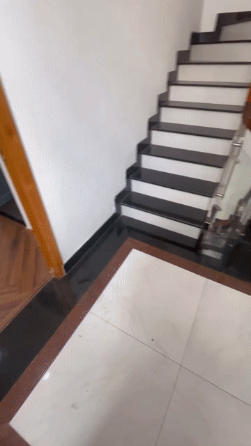 Cho thuê Căn hộ Chung cư Quận Tân Bình Tp Hồ Chí Minh diện tích 30 m² giá 4,3 triệu/tháng