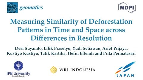 Deforestation Patterns in Time and Space