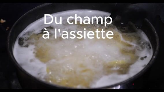 Du champ à l'assiette