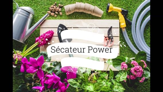 SECATEUR POWER