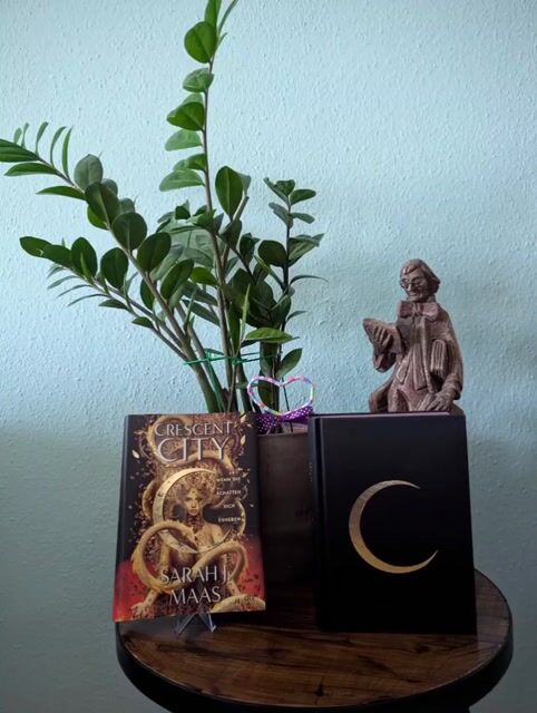 Auch beim letzten Teil zieht sich das Buch für mich sehr hin. Es war teilweise anstrengend es zu lesen und dran zu bleiben. Aber im letzten Drittel wird es nochmal sehr spannend. Da passiert auf einmal so viel. Da es der letzte Teil der Reihe ist, finde ich es am Ende ganz schön, dass man nochmal von jedem eine kleine Perspektive bekommt.