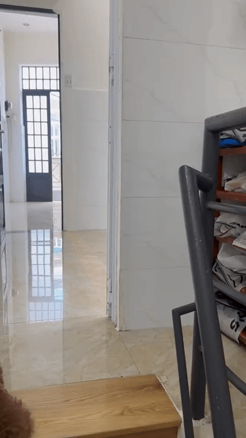 Cho thuê Phòng trọ Quận Tân Phú Tp Hồ Chí Minh diện tích 18 m² giá 4 triệu/tháng